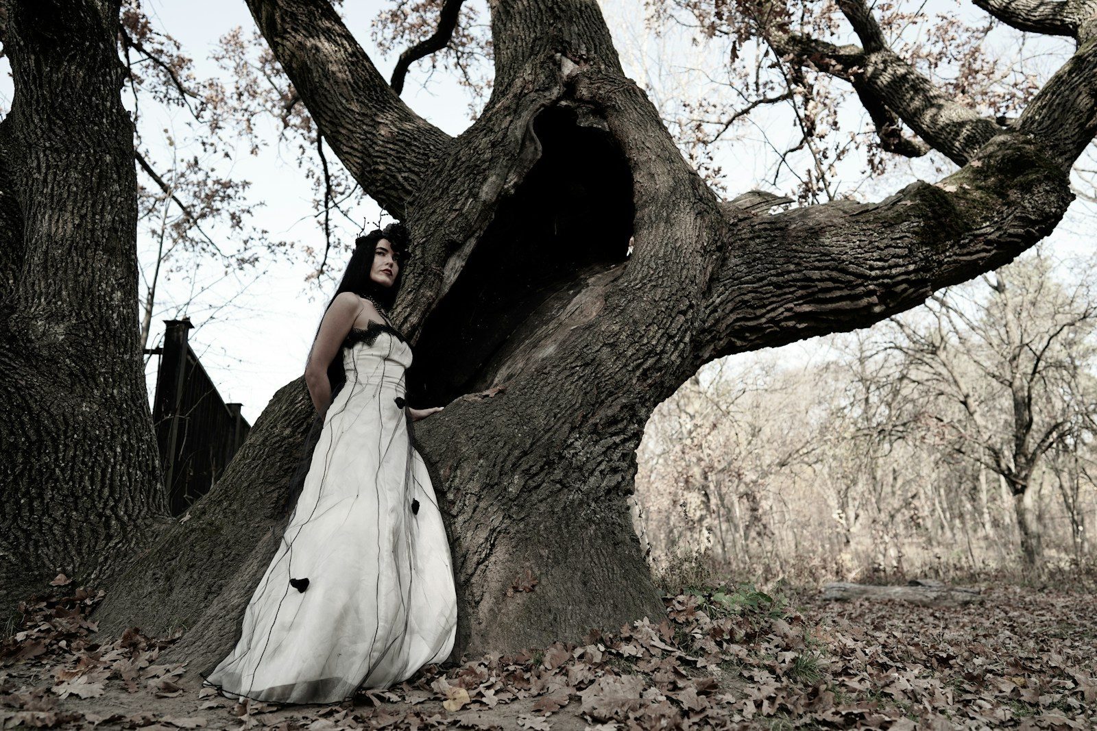 woman standing beside tree hollow